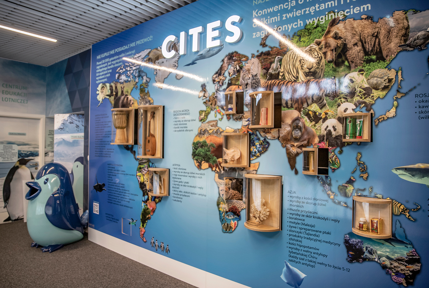 CEL Centrum Edunkacji Lotniczej